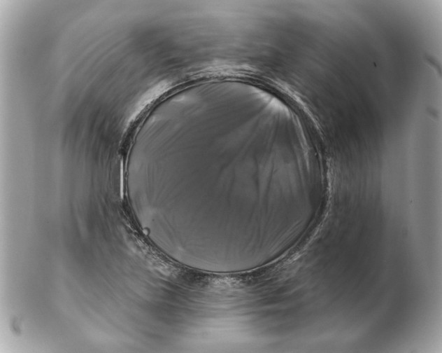 X0000102491219200808291642