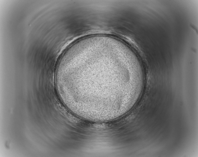 X0000102491220200808291642