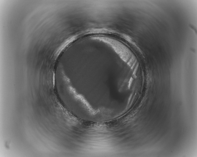 X0000102491221200808291642