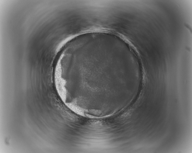 X0000102491222200808291642