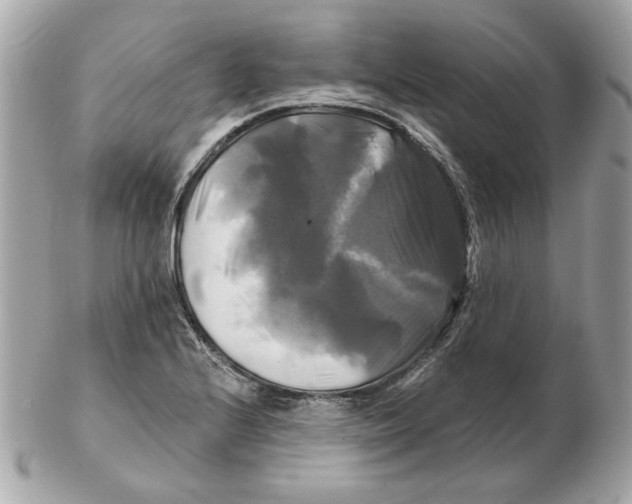 X0000102491224200808291642