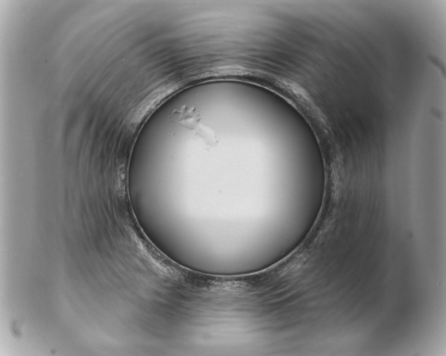 X0000102491225200808291642