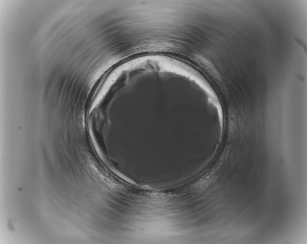 X0000102491226200808291642