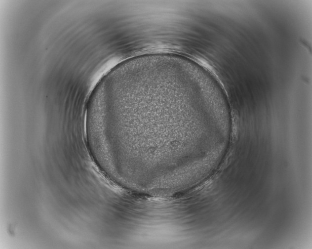 X0000102491227200808291642