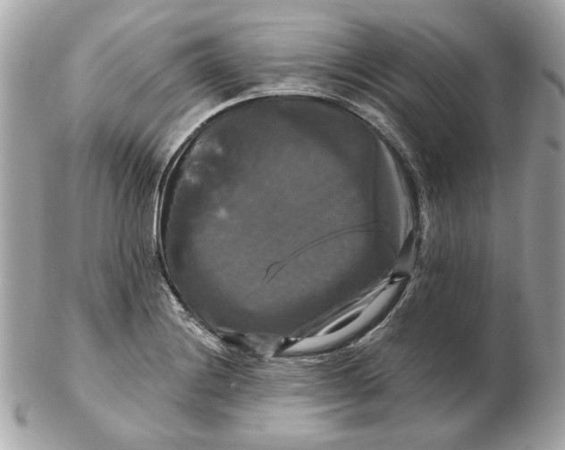 X0000102491228200808291642