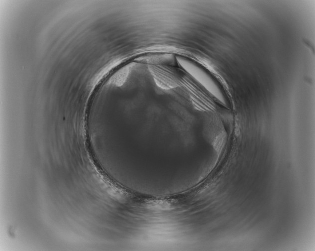 X0000102491229200808291642