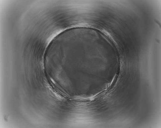 X0000102491230200808291642