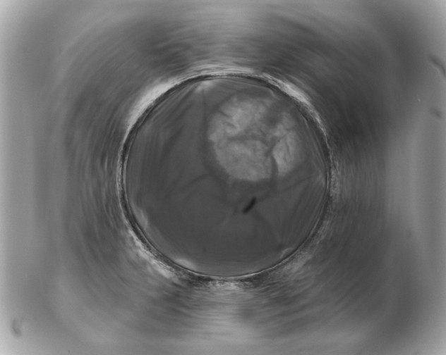 X0000102491231200808291642