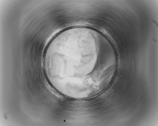 X0000102491232200808291642