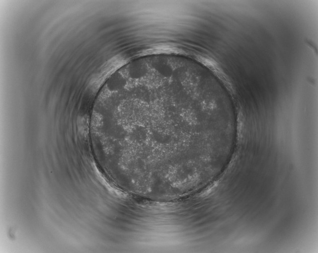 X0000102491233200808291642