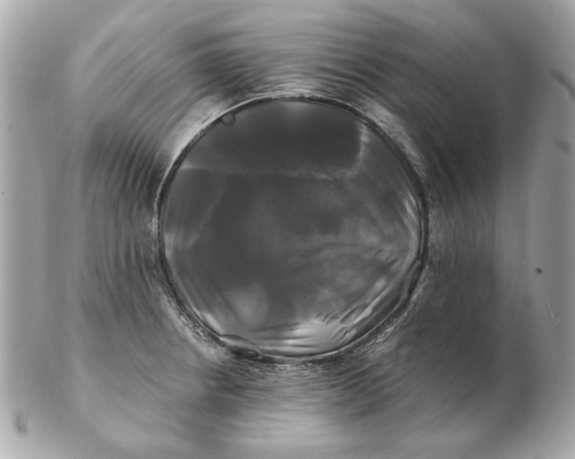 X0000102491234200808291642