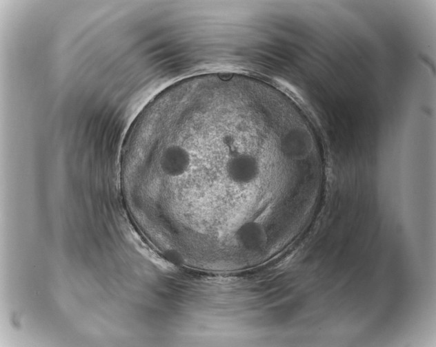 X0000102491236200808291642