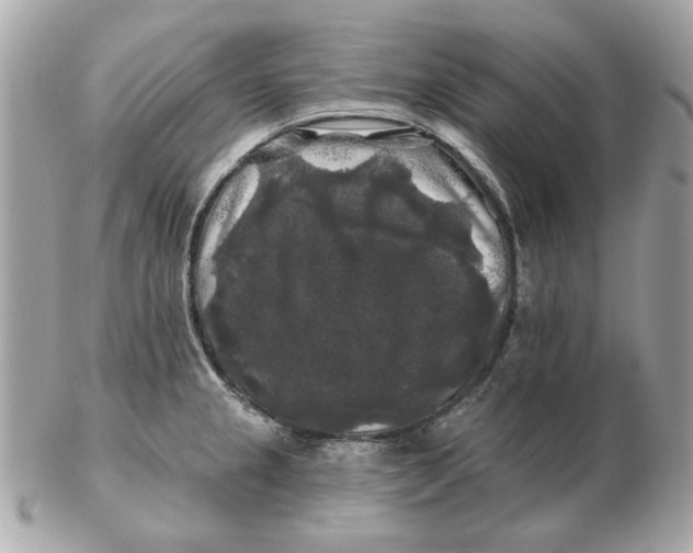 X0000102491237200808291642