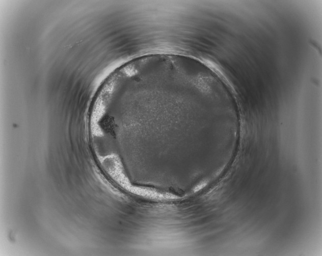 X0000102491238200808291642