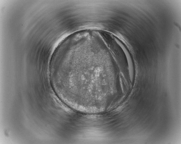 X0000102491240200808291642