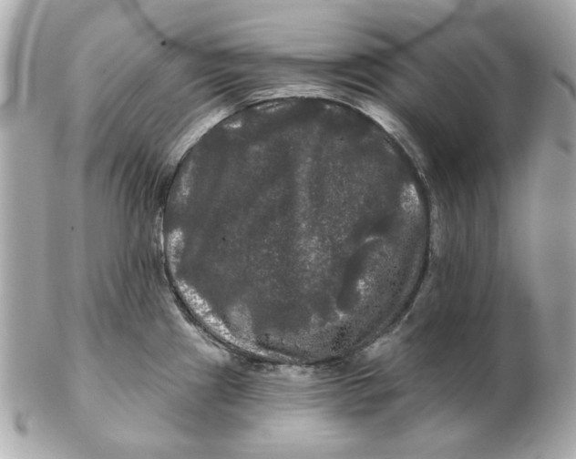 X0000102491241200808291642