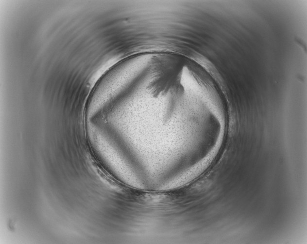 X0000102491242200808291642