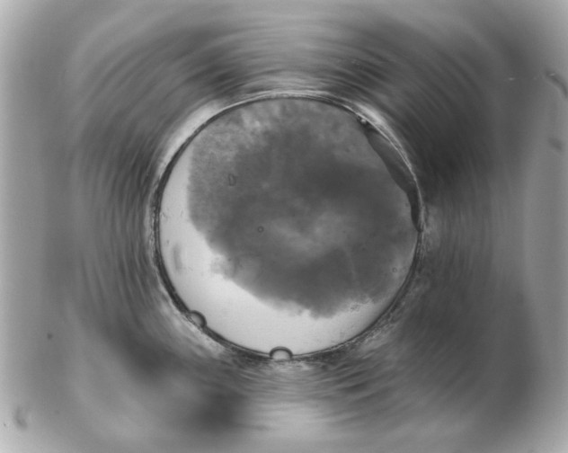 X0000102491243200808291642