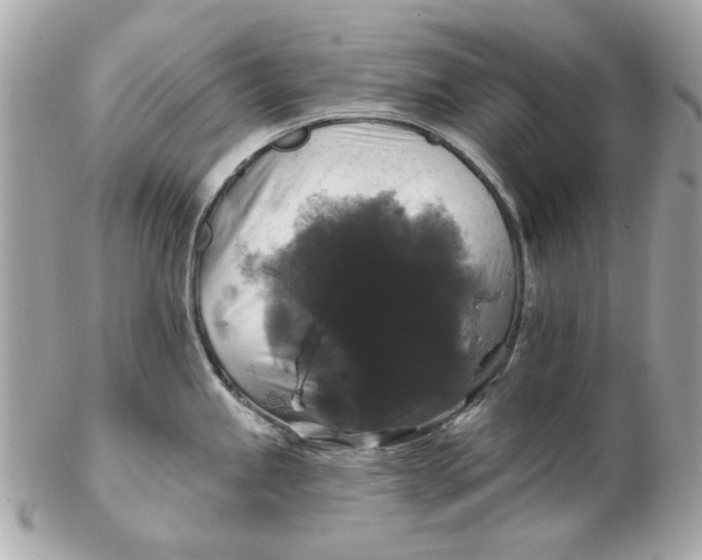 X0000102491245200808291642