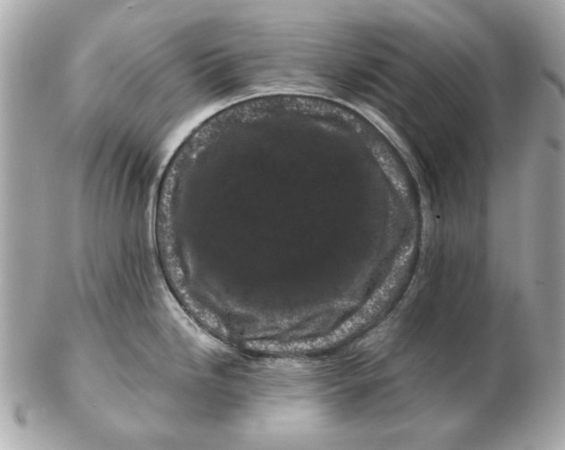 X0000102491246200808291642