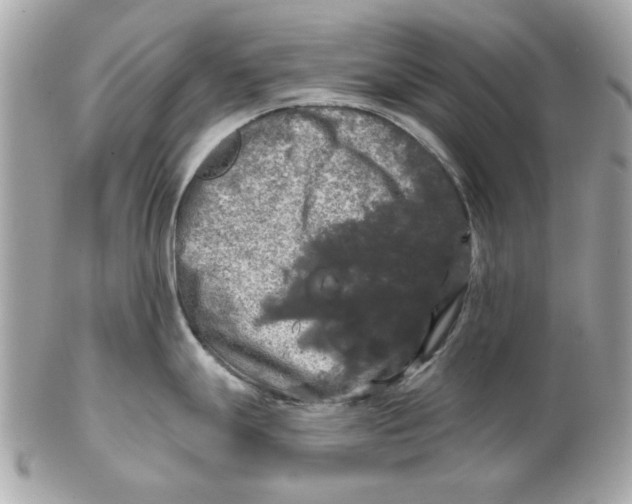 X0000102491247200808291642