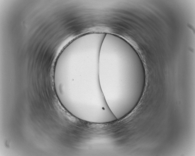 X0000102491248200808291642