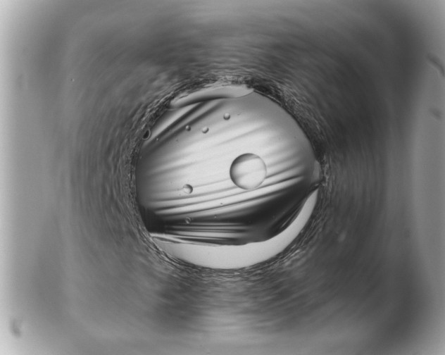 X0000102491249200808291641