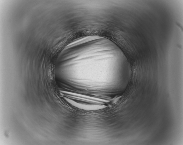 X0000102491250200808291641