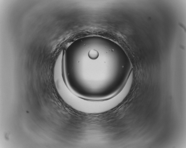 X0000102491253200808291641