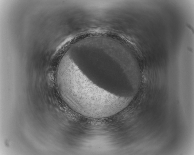 X0000102491254200808291641