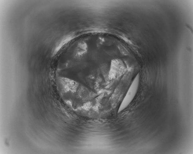 X0000102491255200808291641