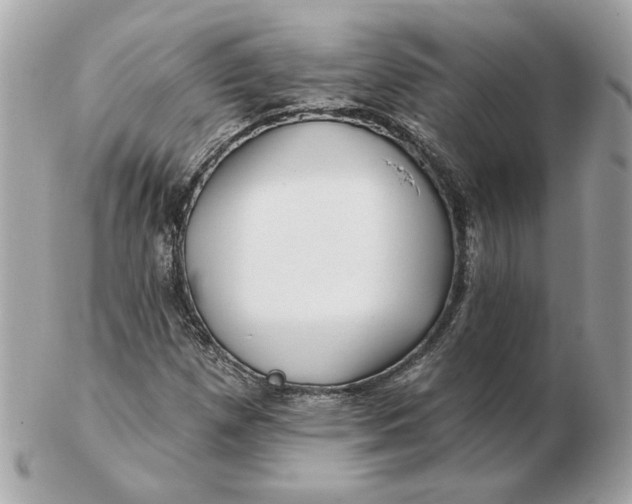 X0000102491257200808291641