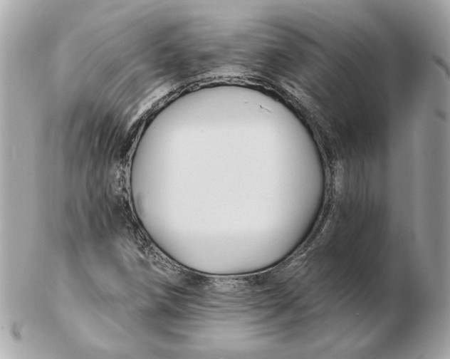 X0000102491258200808291641