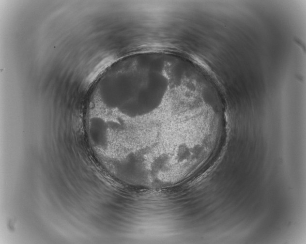 X0000102491259200808291641