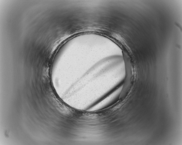 X0000102491260200808291641