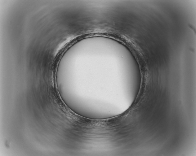 X0000102491262200808291641