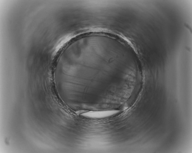 X0000102491263200808291641