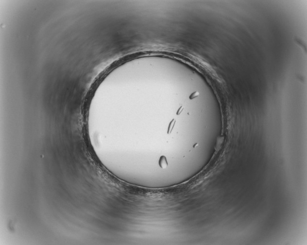 X0000102491264200808291641