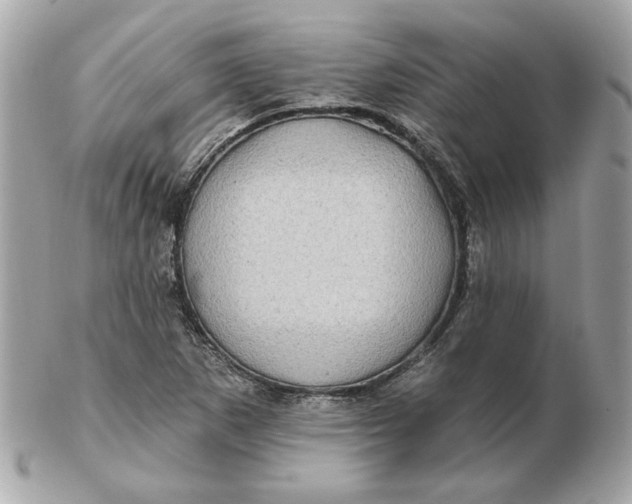 X0000102491265200808291641