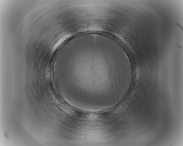 X0000102491266200808291641