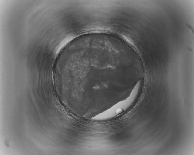 X0000102491267200808291641