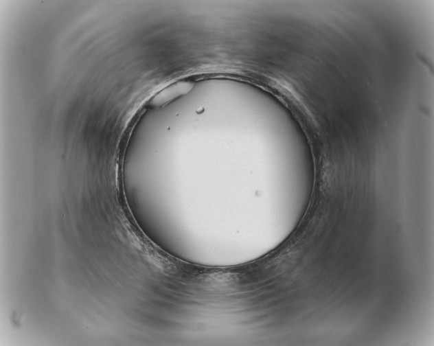 X0000102491268200808291641