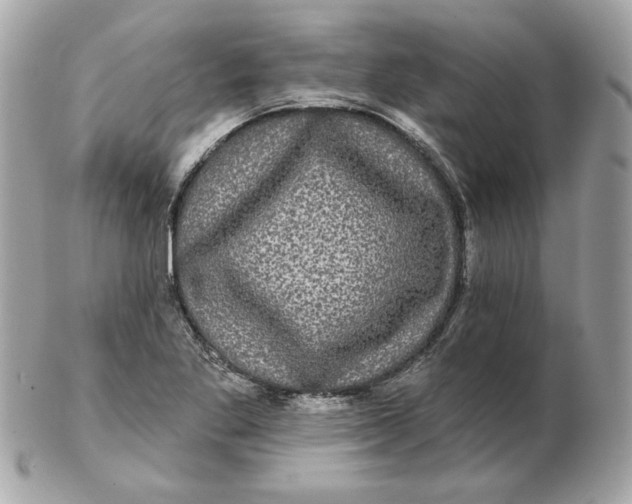 X0000102491269200808291641