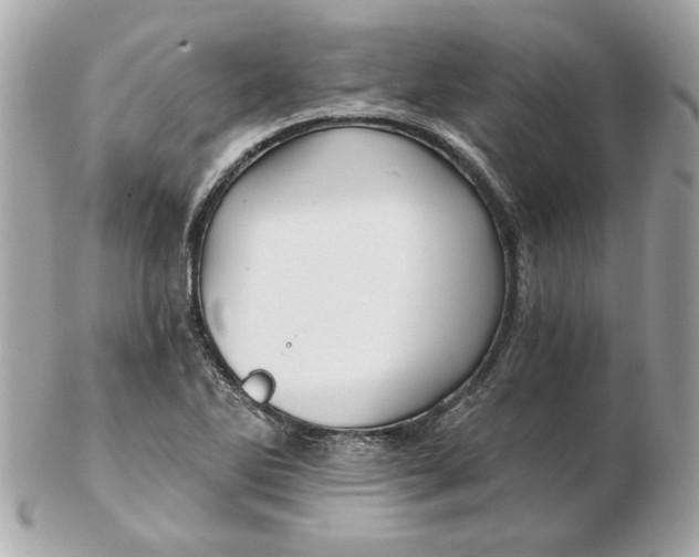 X0000102491270200808291641