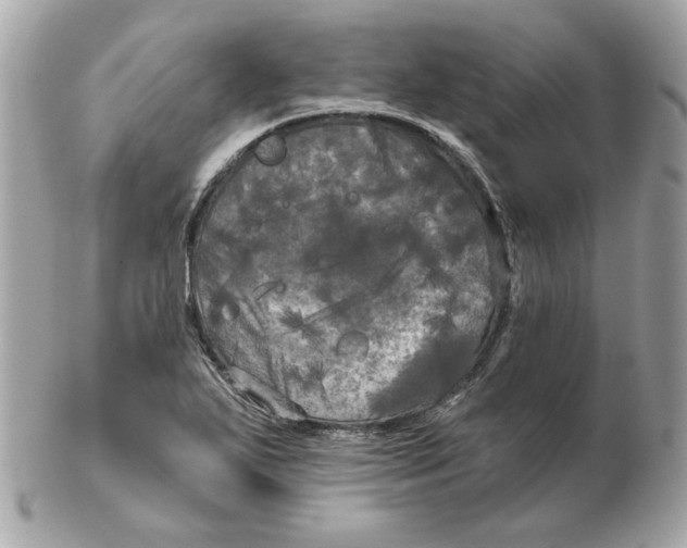 X0000102491271200808291641