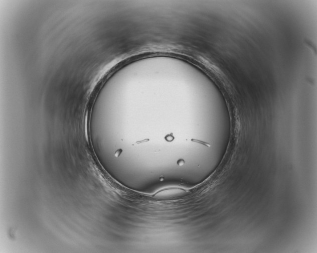 X0000102491272200808291641