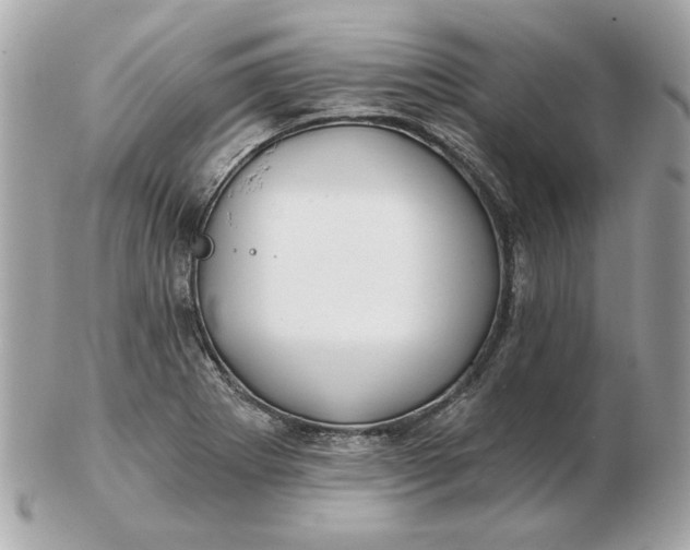 X0000102491273200808291641