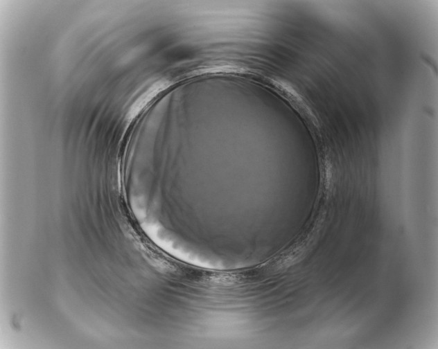 X0000102491274200808291641