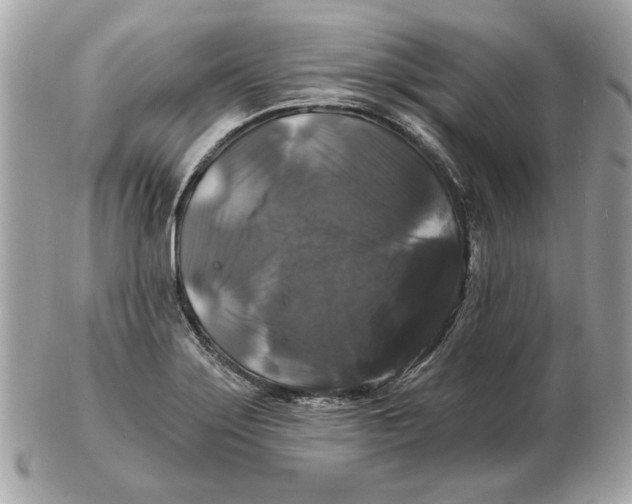 X0000102491275200808291641