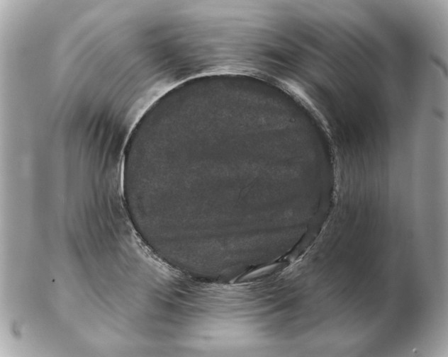 X0000102491276200808291641